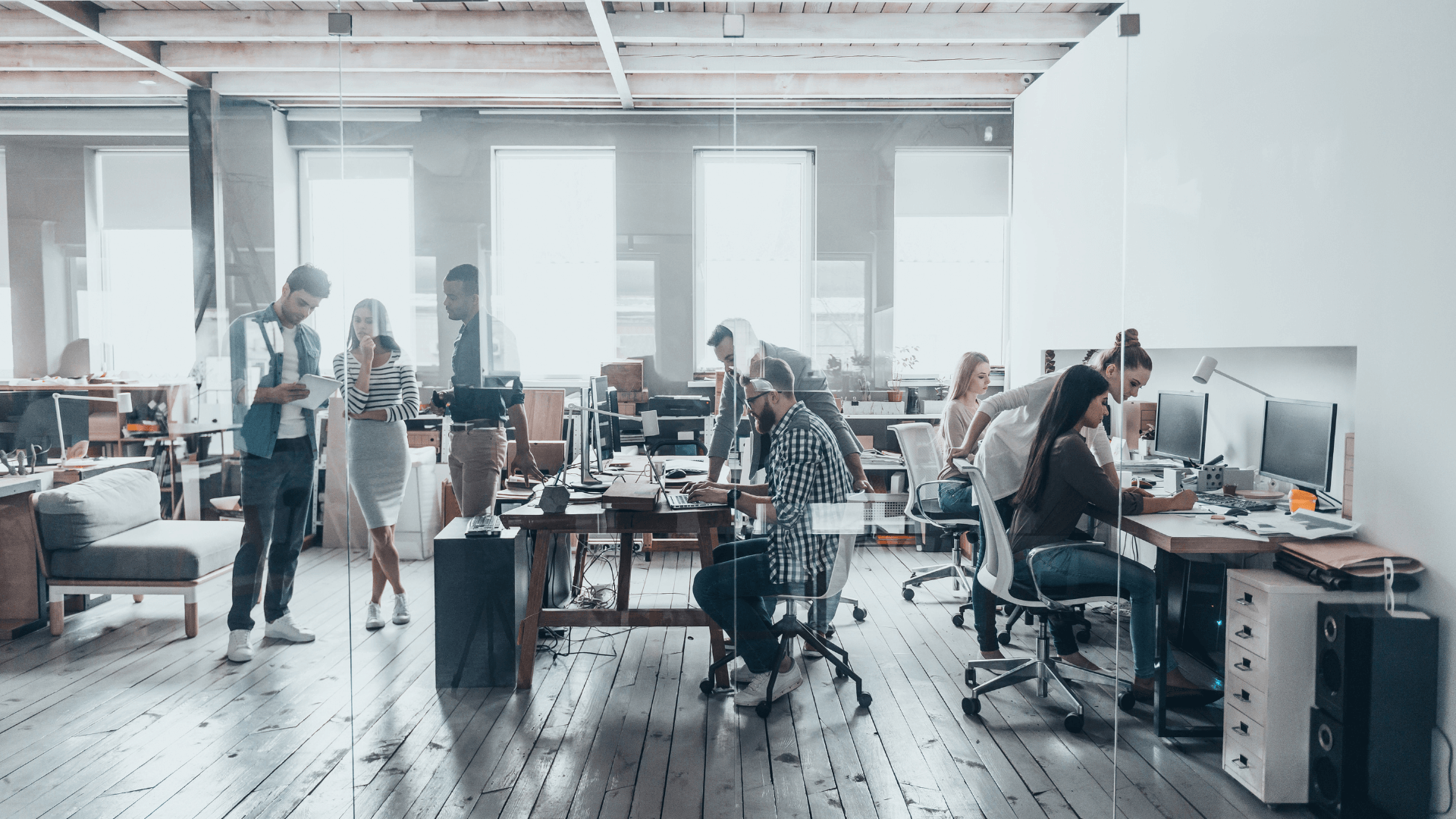 Office Team Collaboration